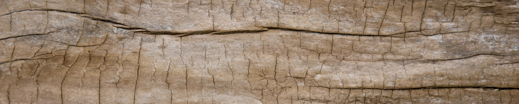 powierzchnia drewniana