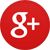 google plus icon